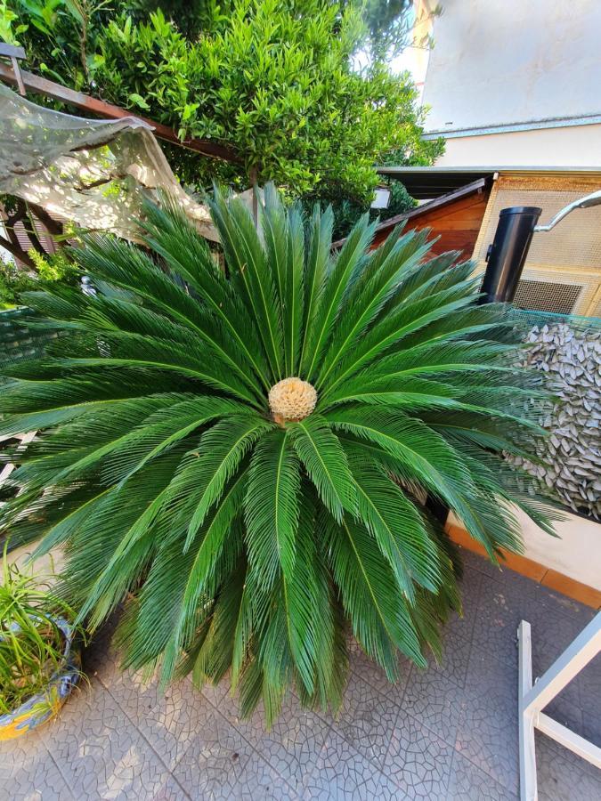 안그리 My Dream House 아파트 외부 사진